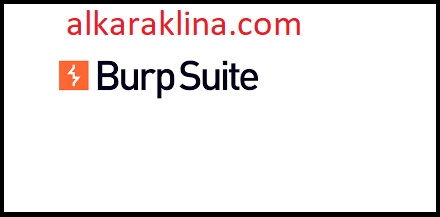 Burp Suite متصدع