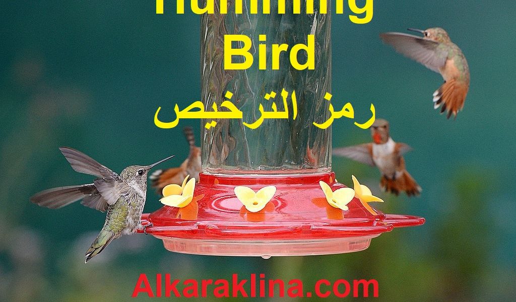 Hummingbird رمز الترخيص