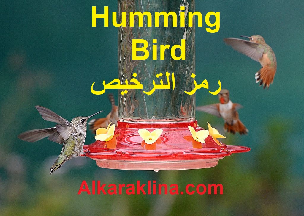 Hummingbird رمز الترخيص